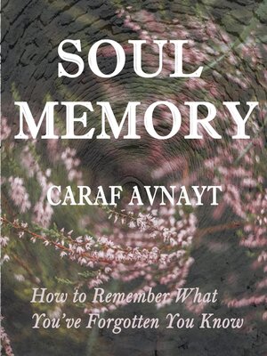 cover image of Soul Memory